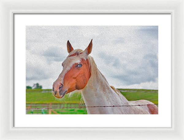 Cute Horse Mixed Media Art - Framed Print