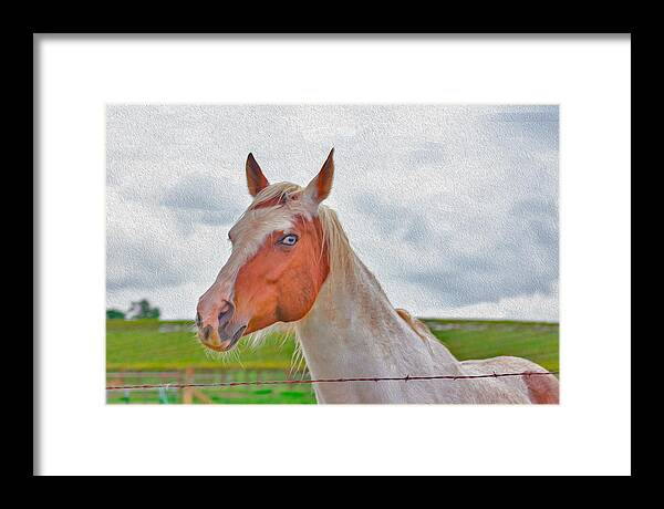 Cute Horse Mixed Media Art - Framed Print