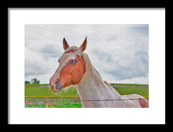 Cute Horse Mixed Media Art - Framed Print