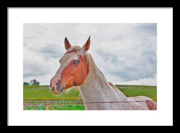 Cute Horse Mixed Media Art - Framed Print