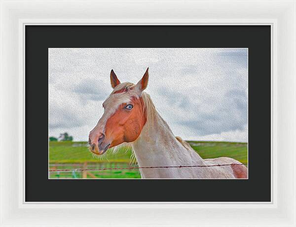 Cute Horse Mixed Media Art - Framed Print