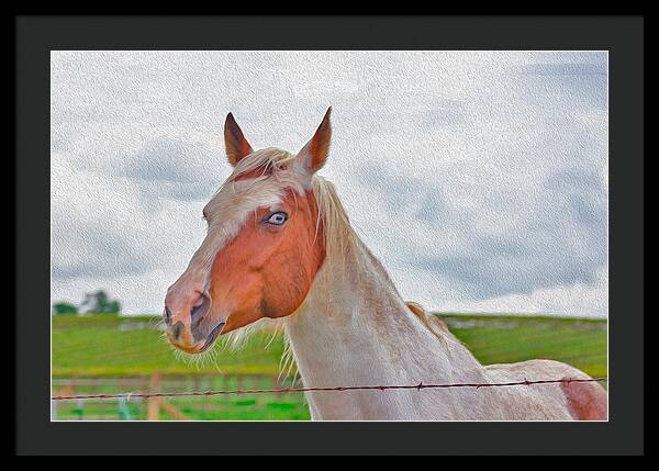 Cute Horse Mixed Media Art - Framed Print