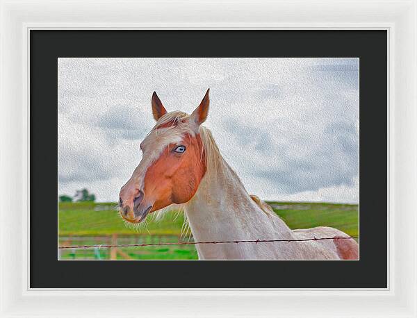 Cute Horse Mixed Media Art - Framed Print