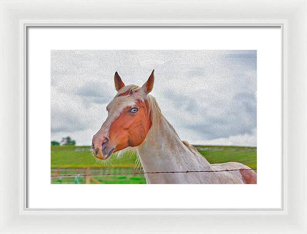 Cute Horse Mixed Media Art - Framed Print