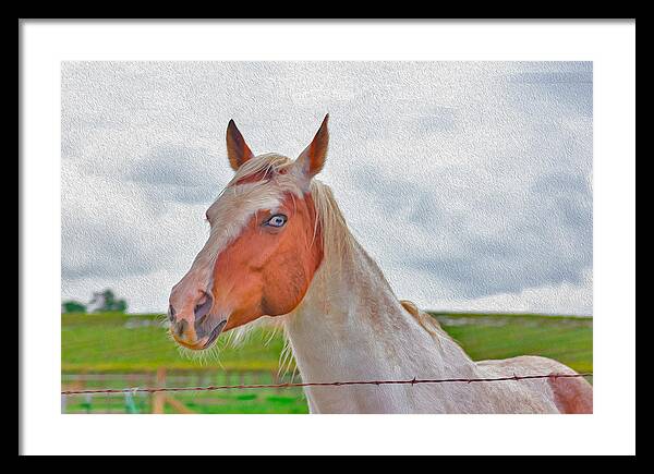 Cute Horse Mixed Media Art - Framed Print