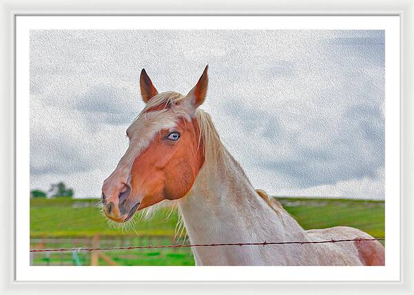 Cute Horse Mixed Media Art - Framed Print