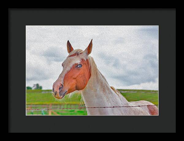 Cute Horse Mixed Media Art - Framed Print