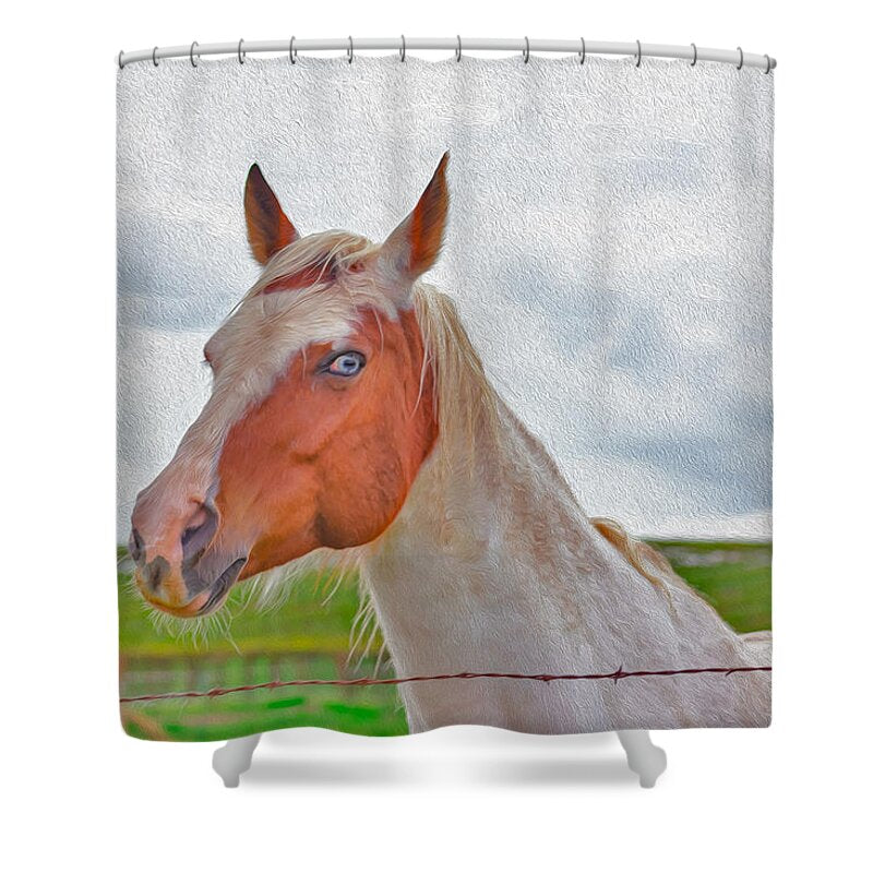Cute Horse Mixed Media Art - Shower Curtain