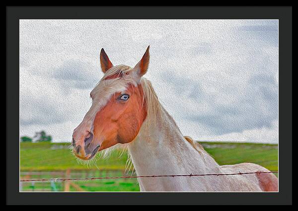 Cute Horse Mixed Media Art - Framed Print