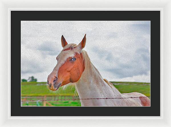 Cute Horse Mixed Media Art - Framed Print