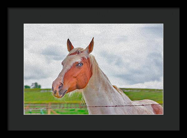 Cute Horse Mixed Media Art - Framed Print
