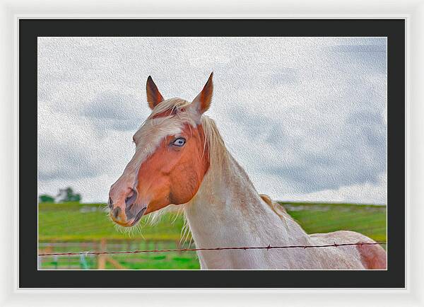 Cute Horse Mixed Media Art - Framed Print