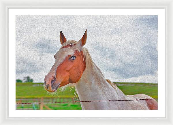 Cute Horse Mixed Media Art - Framed Print