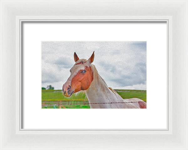 Cute Horse Mixed Media Art - Framed Print