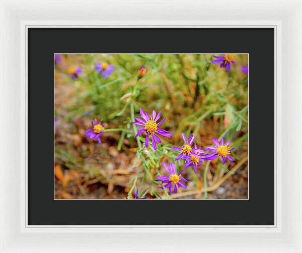 Dreamy Purple and Yellow Flowers Landscape - Framed Print