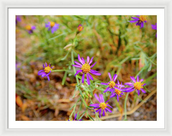 Dreamy Purple and Yellow Flowers Landscape - Framed Print