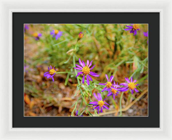 Dreamy Purple and Yellow Flowers Landscape - Framed Print
