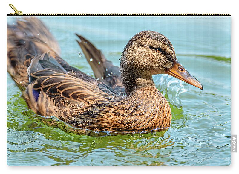 Duck Gliding on Water - Zip Pouch