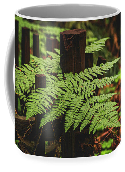 Fern Leaves on Wooden Fence - Mug
