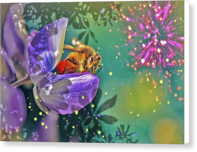 Fireworks and Bee on Flower - Canvas Print