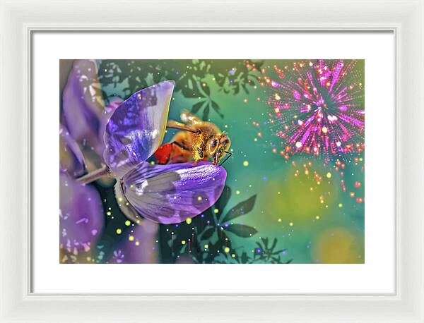 Fireworks and Bee on Flower - Framed Print