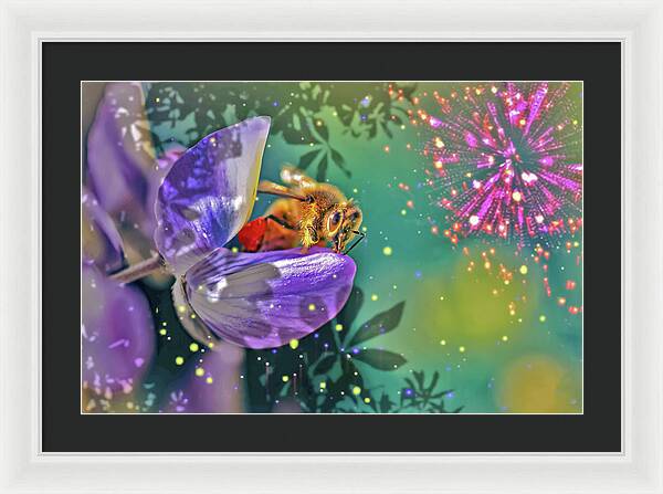 Fireworks and Bee on Flower - Framed Print