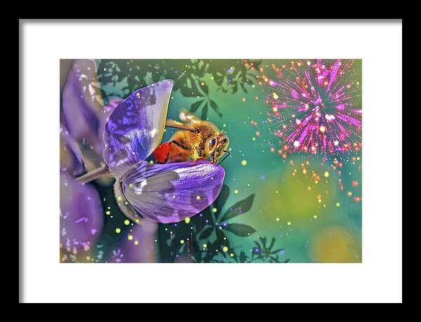 Fireworks and Bee on Flower - Framed Print