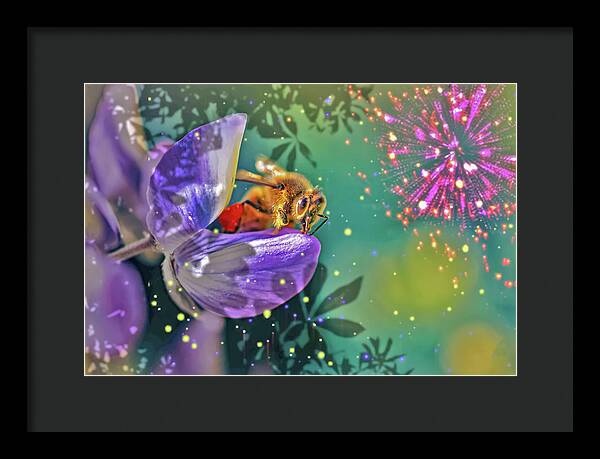 Fireworks and Bee on Flower - Framed Print