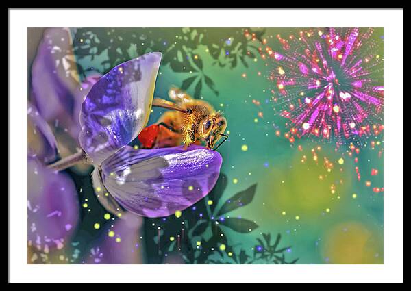 Fireworks and Bee on Flower - Framed Print