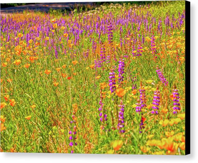 Flower Galore Purple and Yellow - Canvas Print