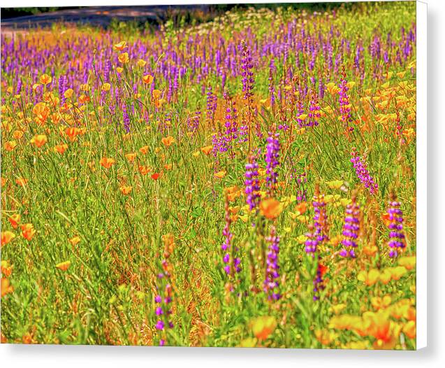 Flower Galore Purple and Yellow - Canvas Print