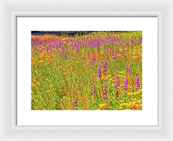 Flower Galore Purple and Yellow - Framed Print