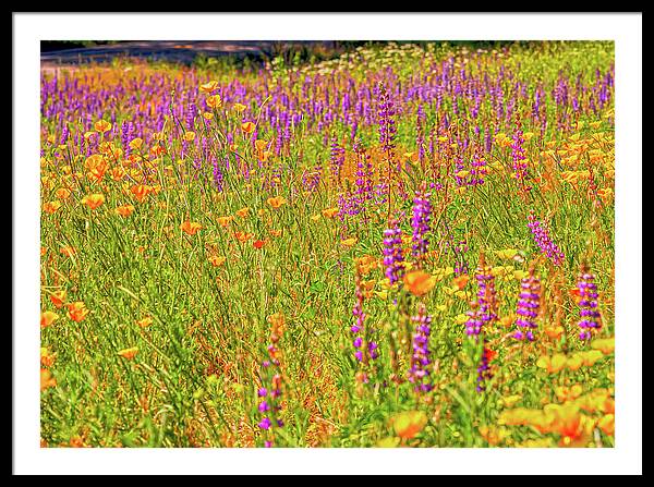 Flower Galore Purple and Yellow - Framed Print