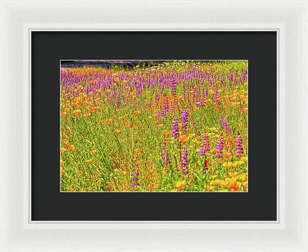 Flower Galore Purple and Yellow - Framed Print