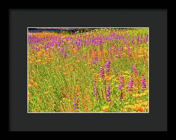 Flower Galore Purple and Yellow - Framed Print