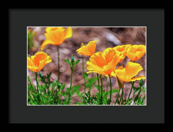 Flowers in Motion - Framed Print