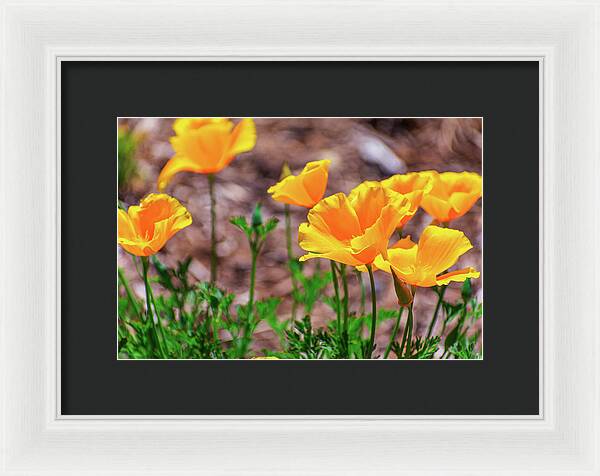 Flowers in Motion - Framed Print