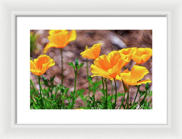 Flowers in Motion - Framed Print