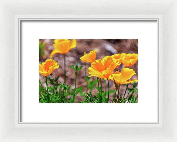 Flowers in Motion - Framed Print