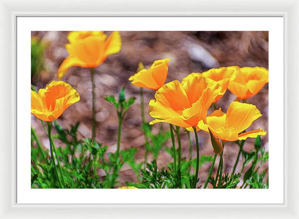 Flowers in Motion - Framed Print