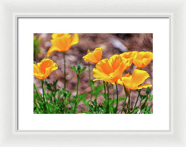 Flowers in Motion - Framed Print