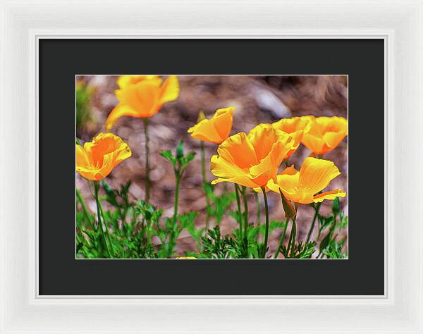 Flowers in Motion - Framed Print