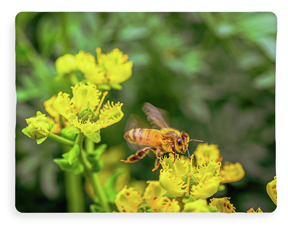 Fly High During Spring Bee Life - Blanket