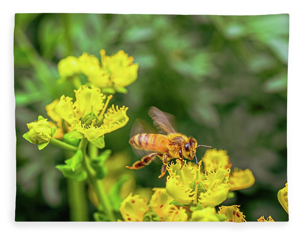 Fly High During Spring Bee Life - Blanket
