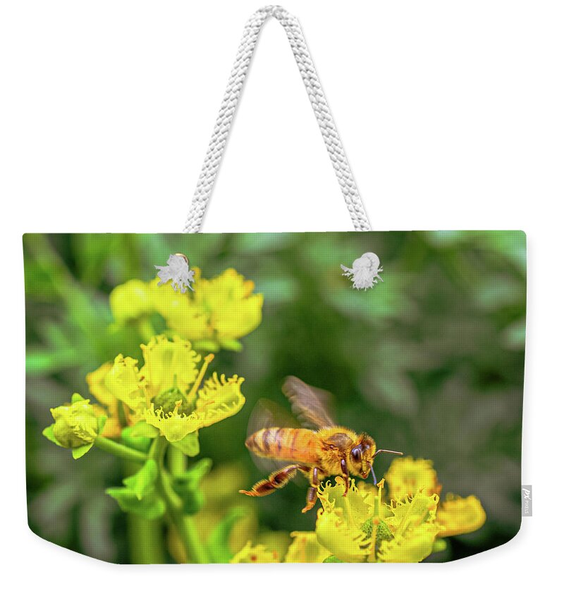 Fly High During Spring Bee Life - Weekender Tote Bag