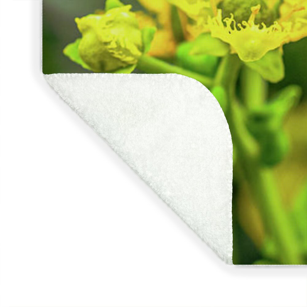 Fly High During Spring Bee Life - Blanket