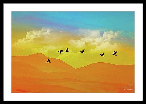Flying Birds on an artistic background - Framed Print