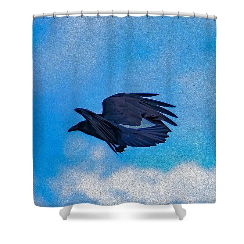 Flying Crow and Blue Sky Background - Shower Curtain