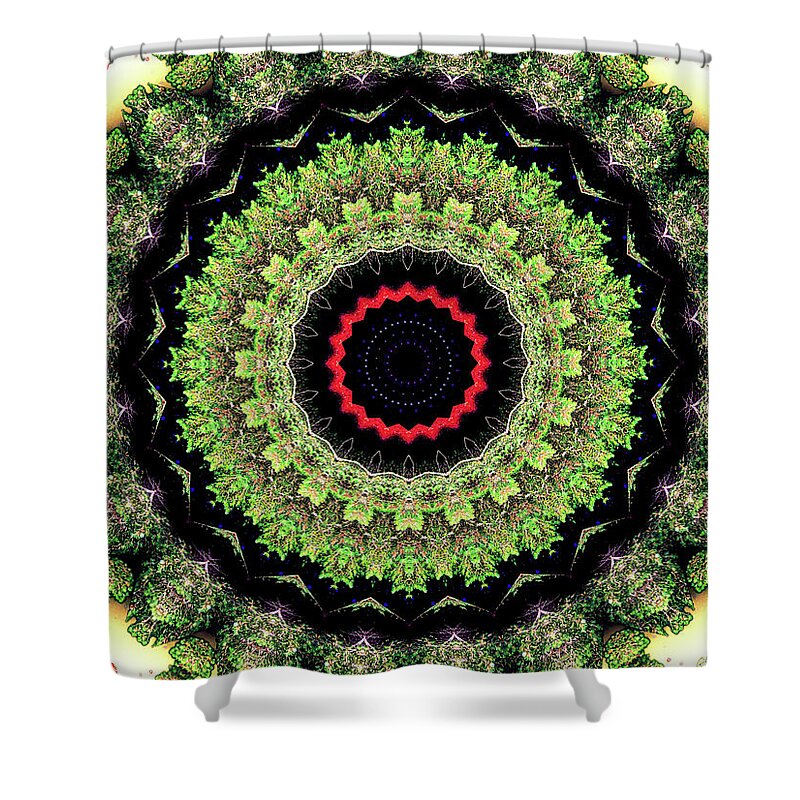 Fractals of Greens Kaleidoscope Pattern - Shower Curtain