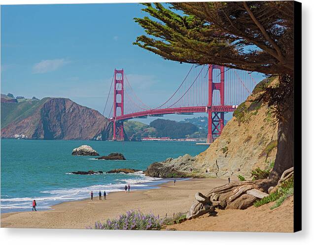 Golden Gate Landscape - Canvas Print